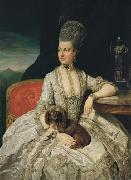 Johann Zoffany Erzherzogin Maria Christine oil on canvas